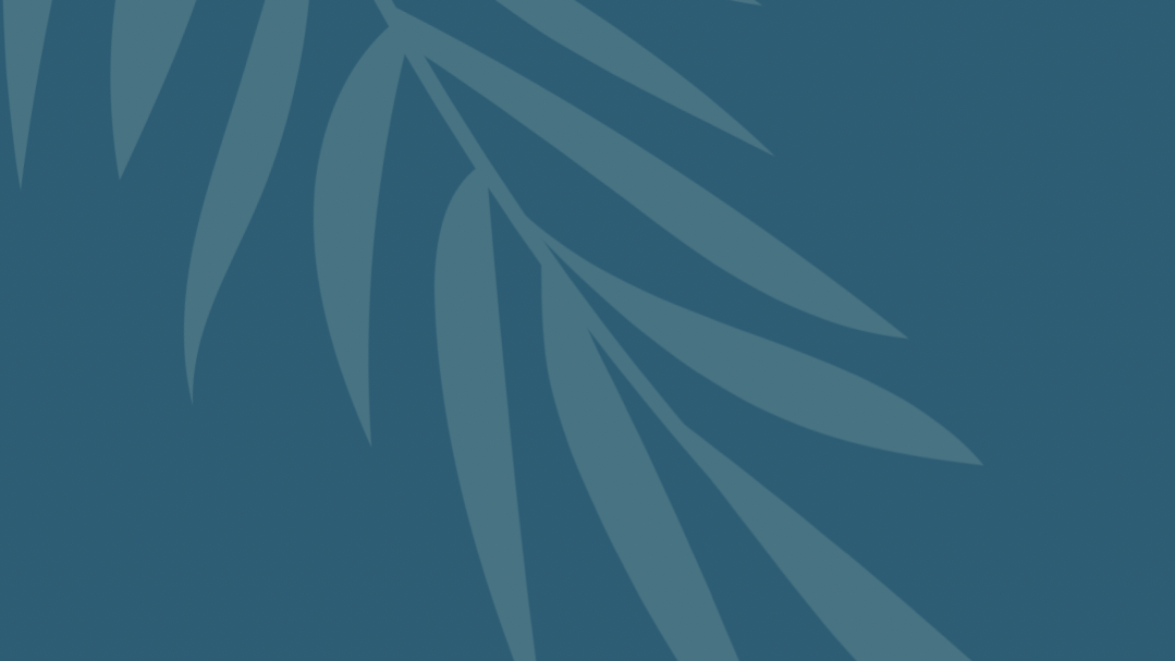 BioSite banner for @nicolas