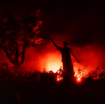 artists/events in pictures thumbnail
