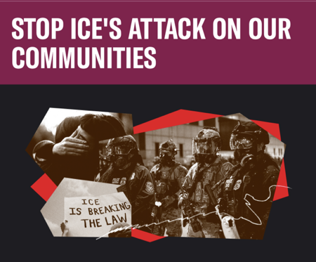 Immigrant Defense Network – Protect the human rights and dignity of every Minnesotan thumbnail