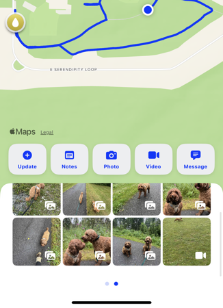  Book your meet + greet/services here! Walkies App- live walk tracking + drop in updates  thumbnail