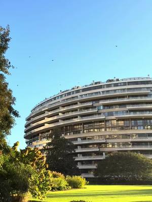 Dreaming of warmer days like visiting the Watergate Gallery earlier in the fall. #washingtondc #architecture #hotels #wa