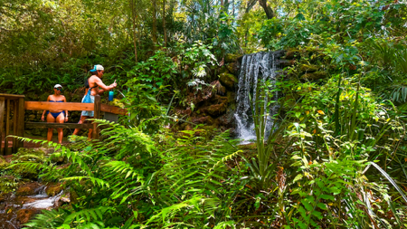 RAINBOW SPRINGS Waterfall Hike Tour thumbnail