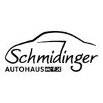 Autohaus Schmidinger Cup thumbnail