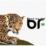 DEEP HOUSE BRASIL / HOUSE MAG thumbnail