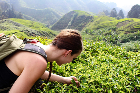 REISEZIELE ASIEN thumbnail