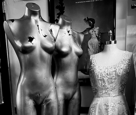 Iris of the Meadow's Closet thumbnail