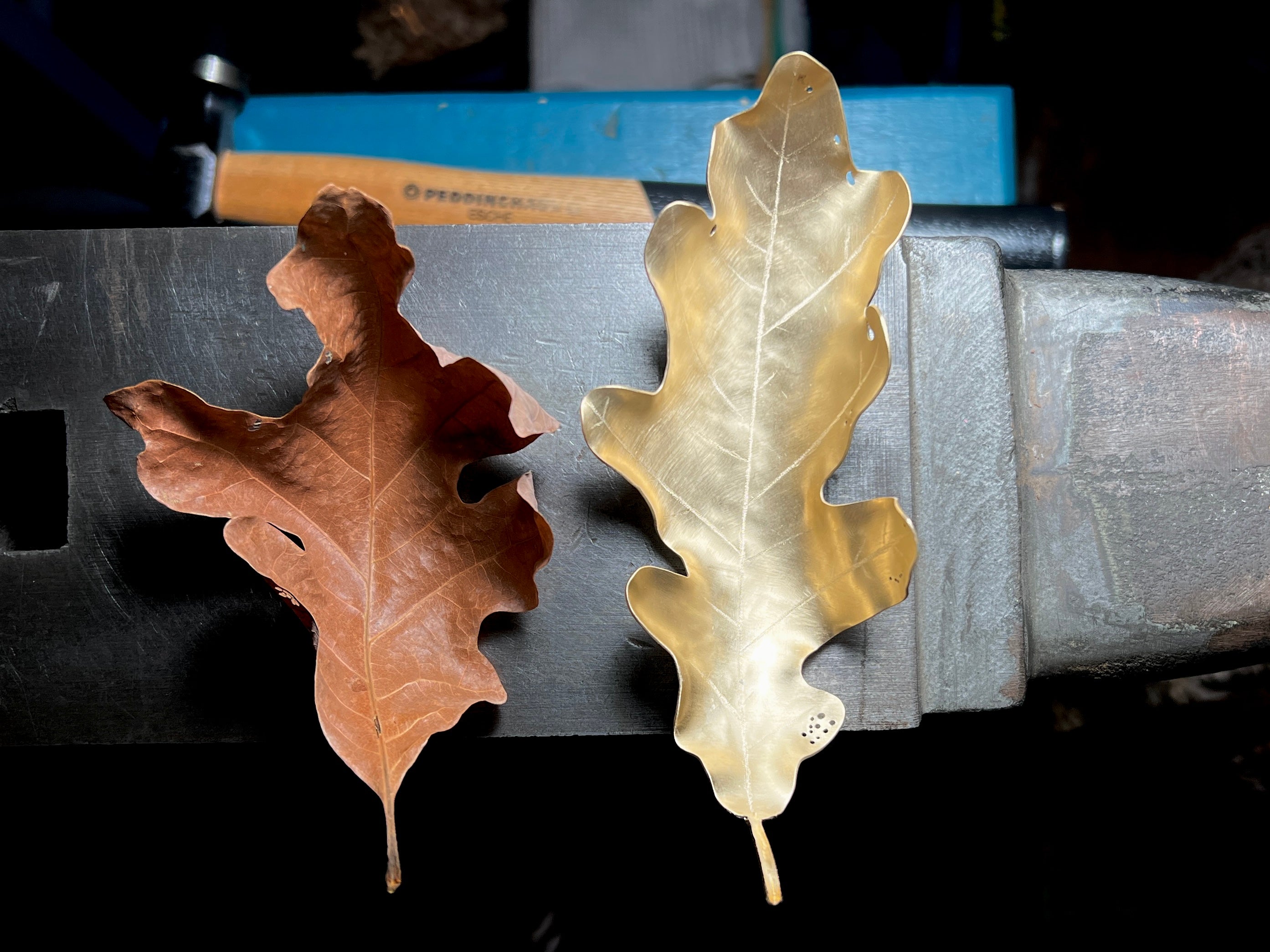 leaf portrait | Iris Noire Designs thumbnail