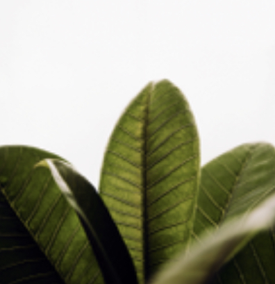 Ebook: Guía práctica sobre esclerosis múltiple  thumbnail