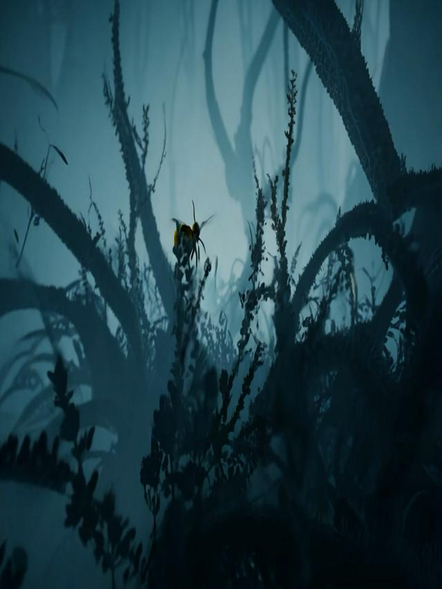 ibrahim murat gündüz thumbnail