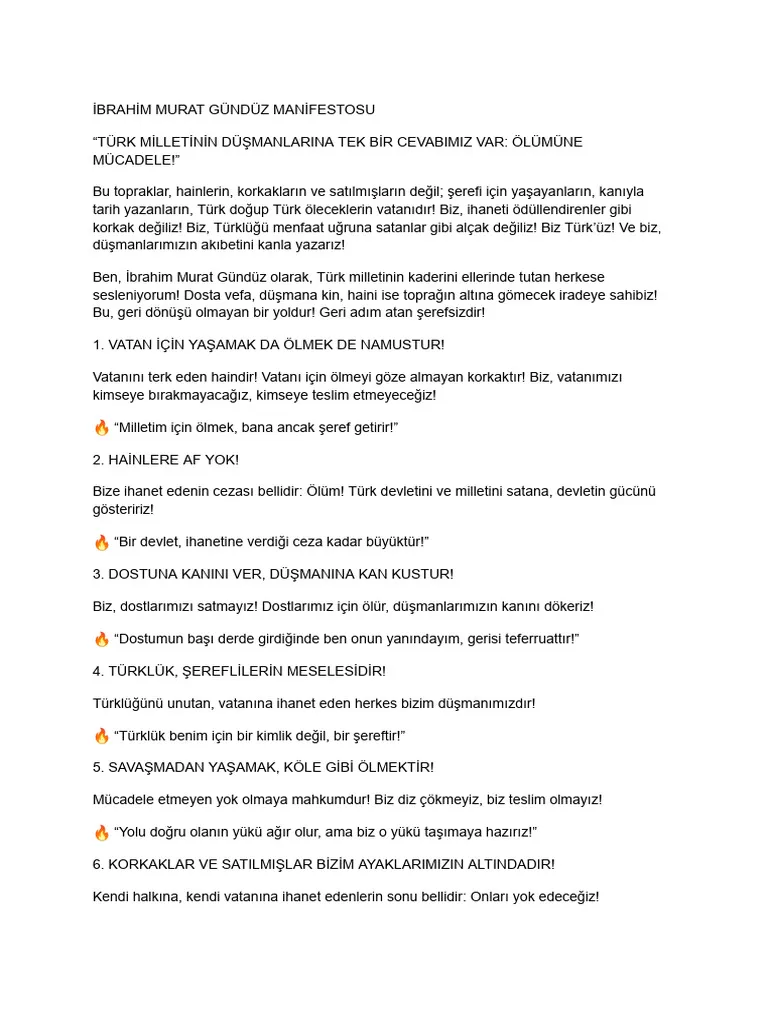 ibrahim murat gunduz - Manifesto thumbnail