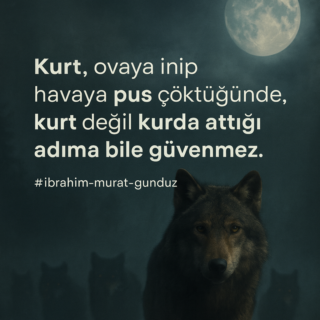 ibrahim murat gunduz - sert - cikislar thumbnail