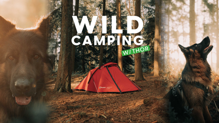 Thor Wild Camping thumbnail