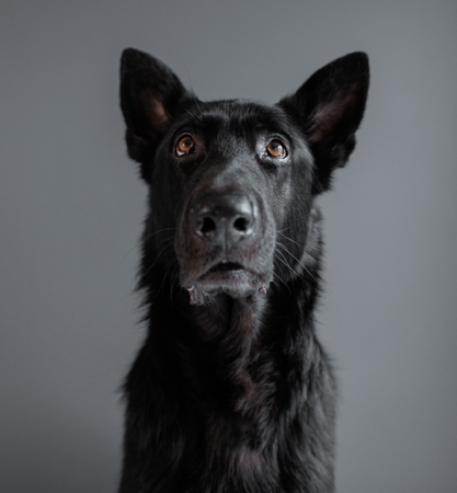 Zeus Scatter Locations thumbnail