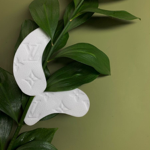 Curso 🎓 thumbnail