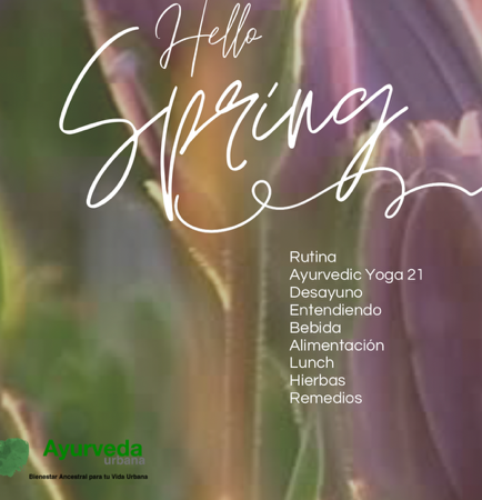 Retreat Online Primavera thumbnail