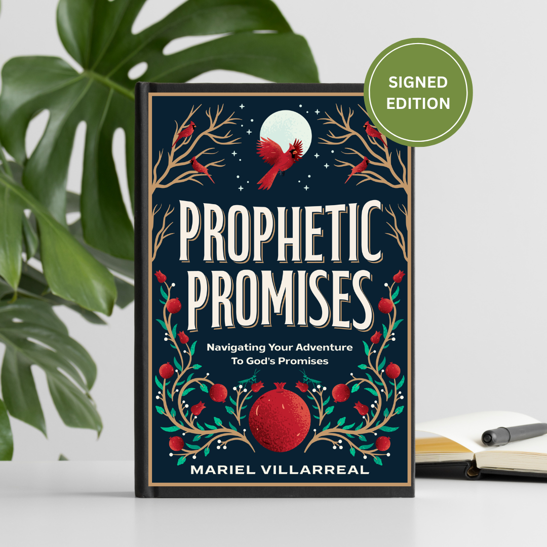 SIGNED COPY | Prophetic Promises Book  thumbnail