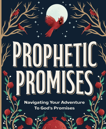 NEW Book: Get Prophetic Promises on Amazon thumbnail