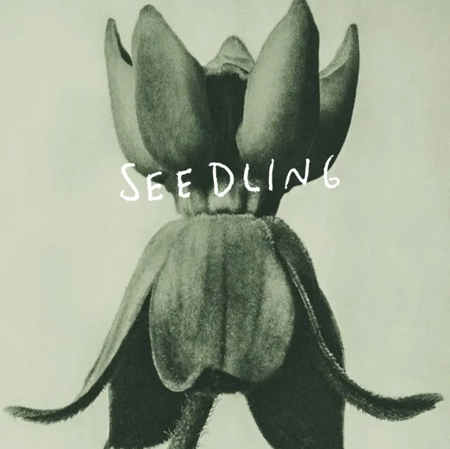 Apply to Seedling thumbnail