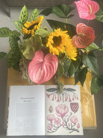 Follow my plant mom TikTok thumbnail