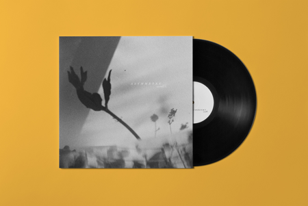 A S Y M M E T R Y (vinyl) thumbnail