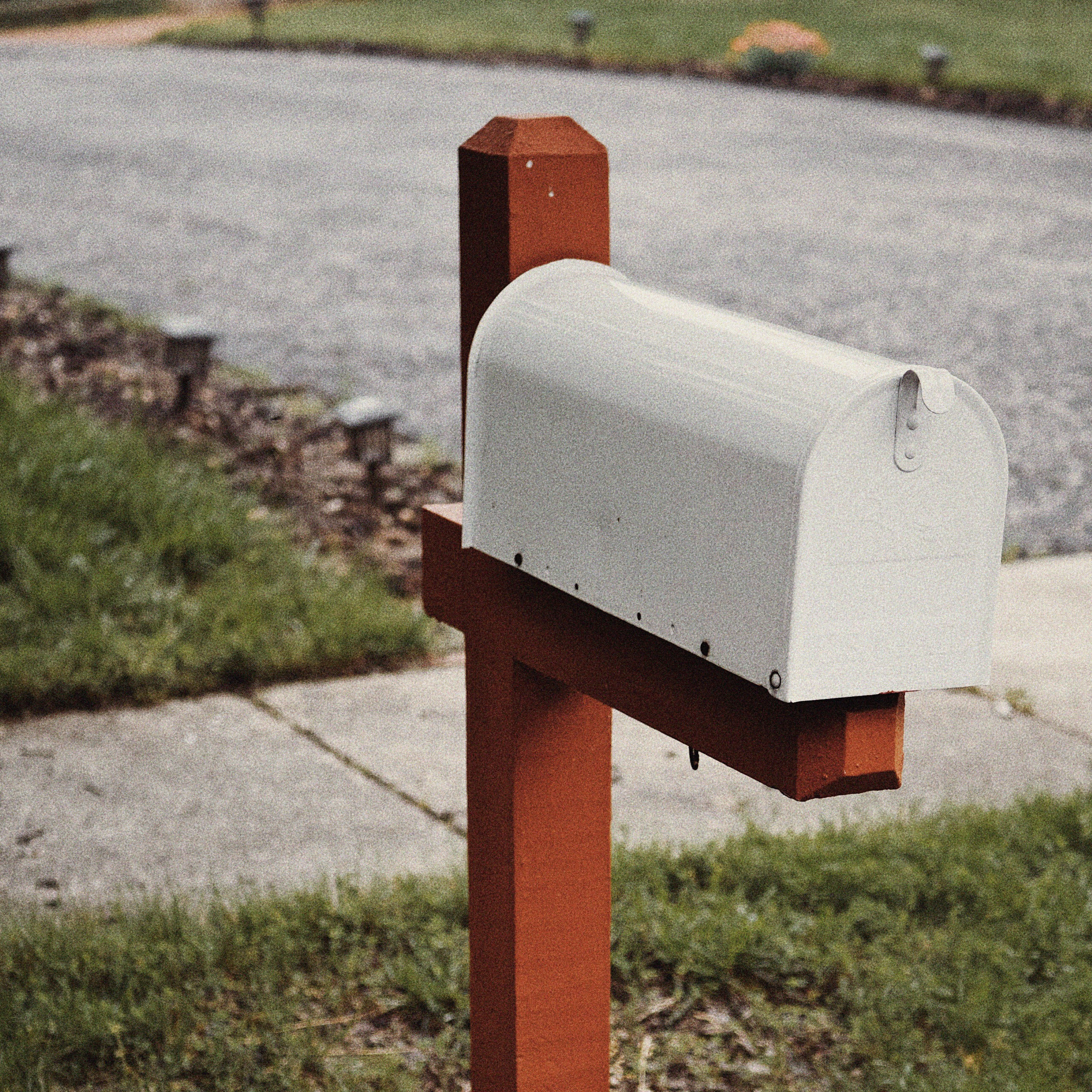 NEWSLETTER thumbnail