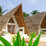 Sign Up To Zanzibar Girls Trip  thumbnail