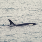 Portfolio 📸 🎥📀 thumbnail