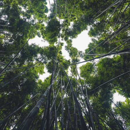 2023 Year-End Mix thumbnail