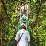 2025 trip dates and destinations! thumbnail