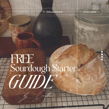 Free Sourdough Guide + Recipes thumbnail