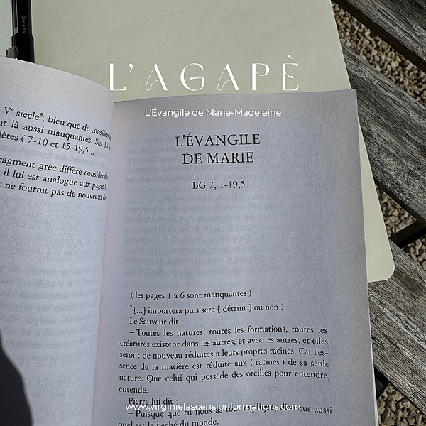 l Evangile de Marie Madeleine thumbnail