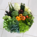 VEGETABLE BOX thumbnail