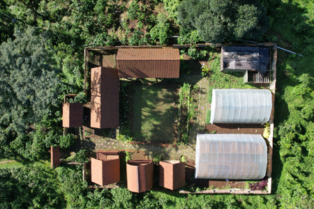 TUTUR KOPI thumbnail