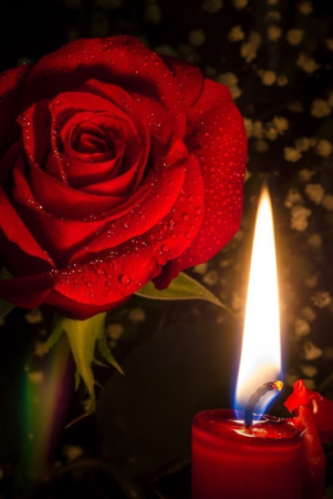 Consultas e Atendimentos thumbnail