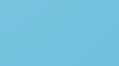 BioSite banner for @seventeen