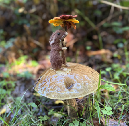 Autumn Collection — Celestine and the Hare thumbnail