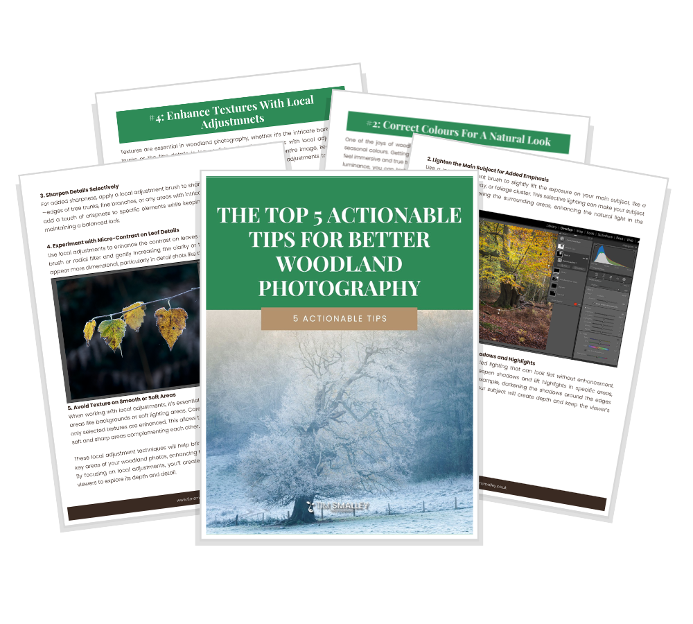 Free Guide: Simple Woodland Photography Editing Techniques thumbnail