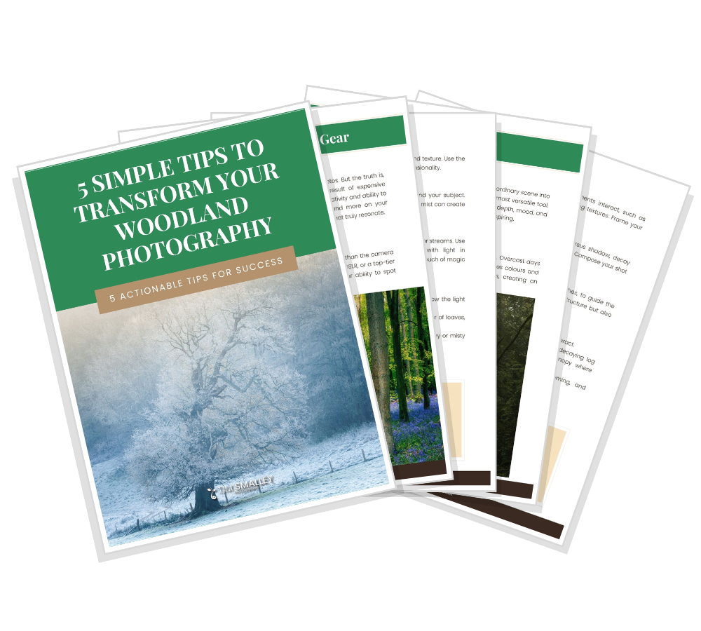 Free Guide: 5 Simple Tips to Transform Your Woodland Photography thumbnail