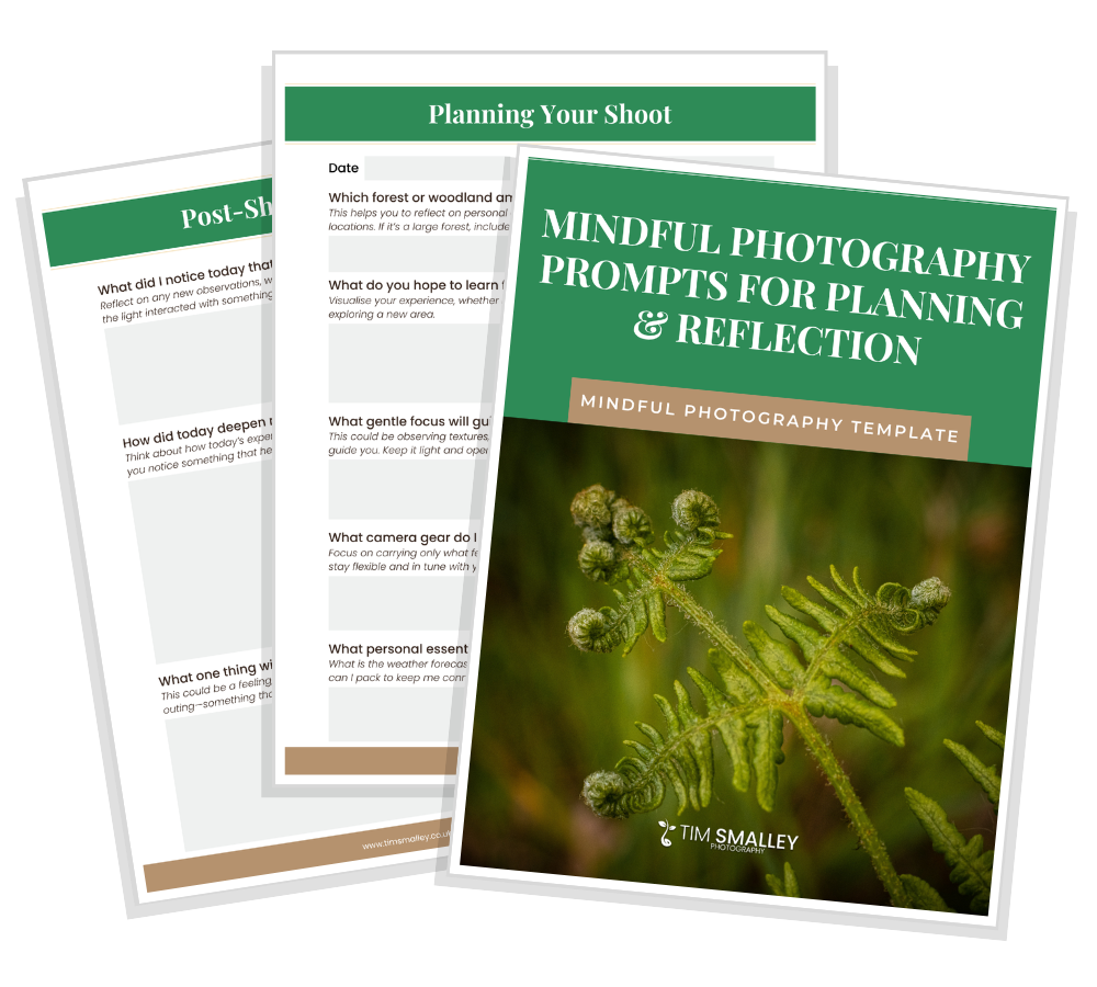 Free Template: Mindful Photography Prompts for Planning & Reflection thumbnail