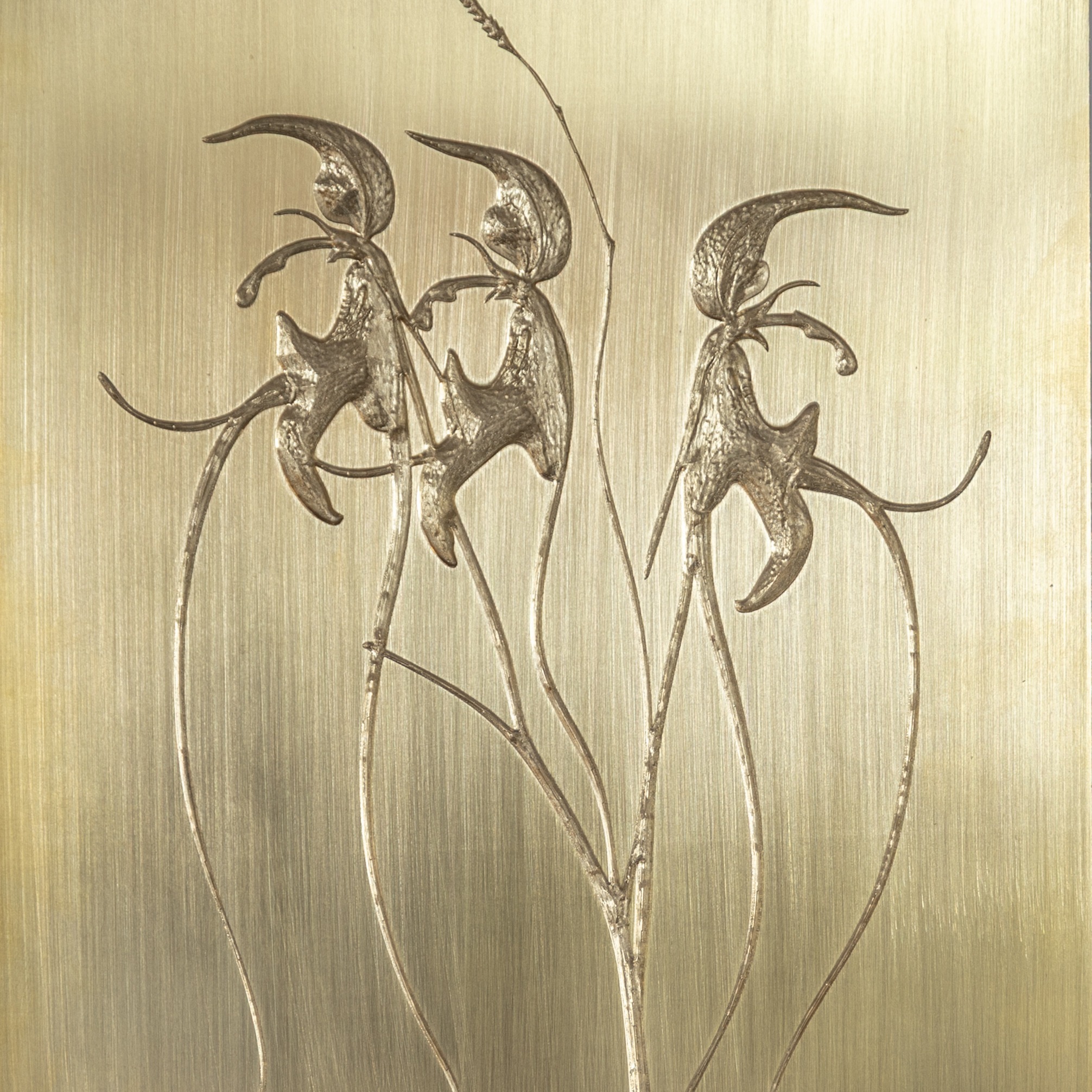 𝔒𝔯𝔠𝔥𝔦𝔡𝔰 (series) thumbnail