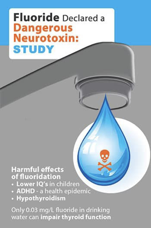Fluoride Exposure and Human Health Risks thumbnail