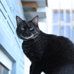 Instagram  thumbnail