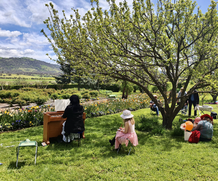 A Waltz Through the Tulips FLORIADE RE-IMAGINED 2020 thumbnail
