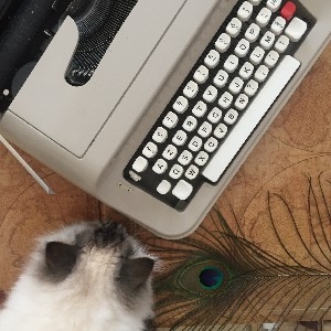 RÉSERVE TA BÊTA-LECTURE thumbnail