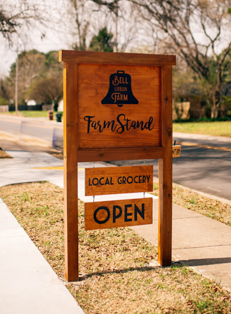 FIND LOBLOLLY NEAR YOU! thumbnail