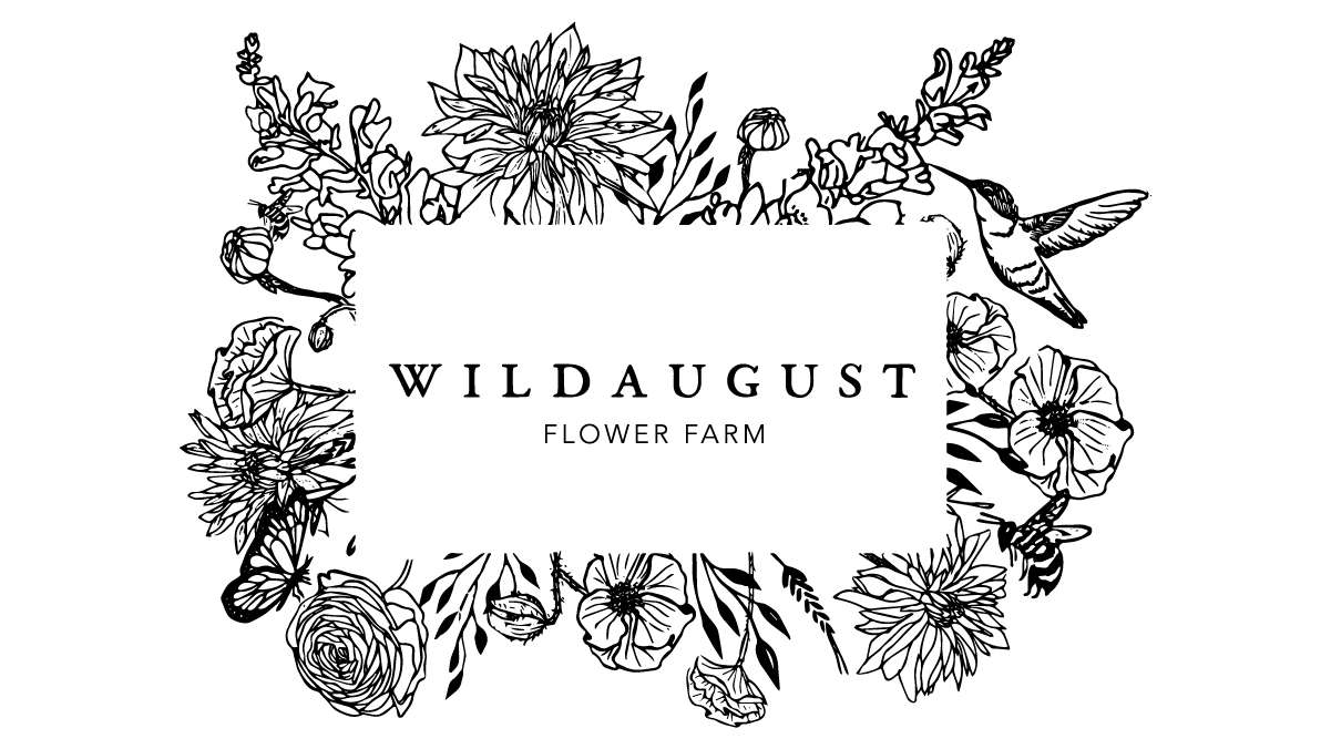 Home - WildAugust Flower Farm thumbnail