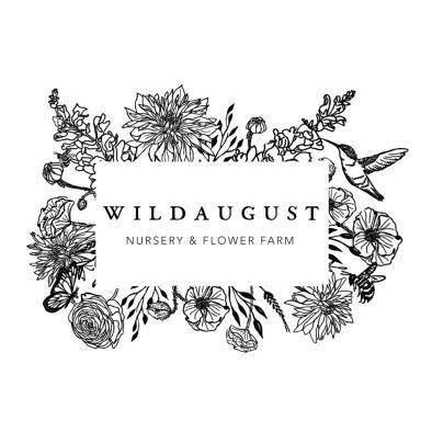 Coming Soon thumbnail