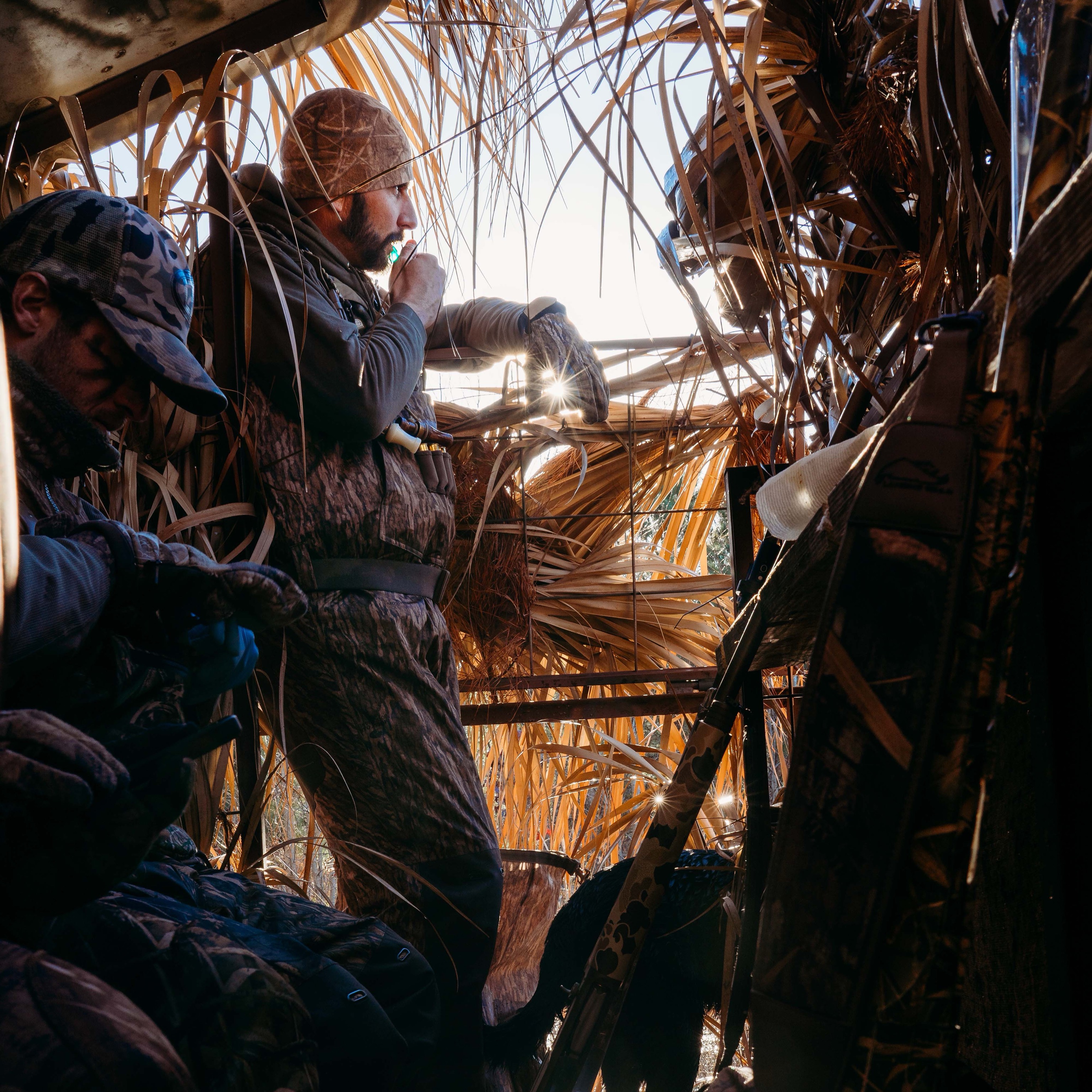 Wild at Heart: Managing Land to Protect the Legacy of the Atlantic Flyway Mallard | Ace Outdoors Charleston thumbnail
