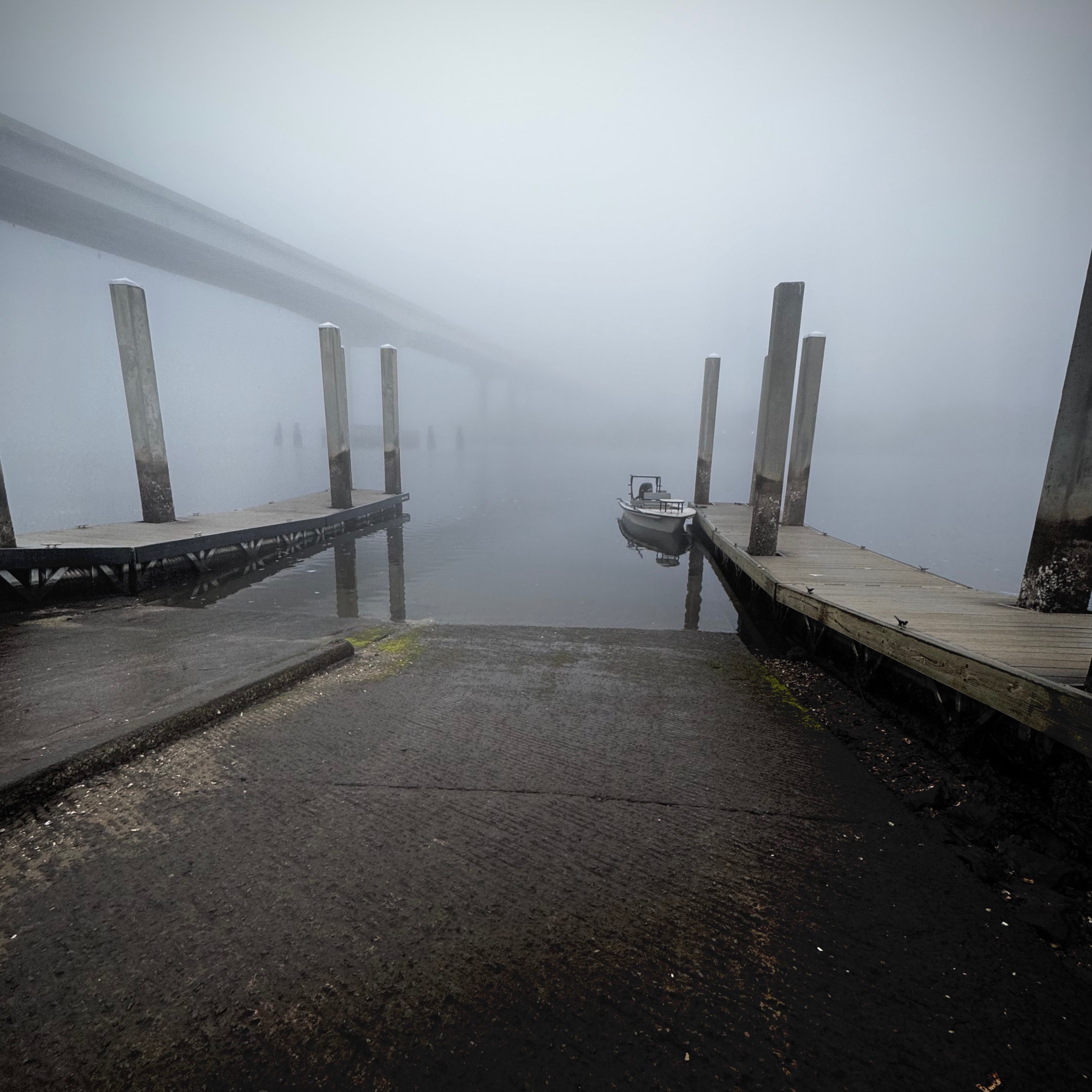 Under The Palmetto Moon thumbnail