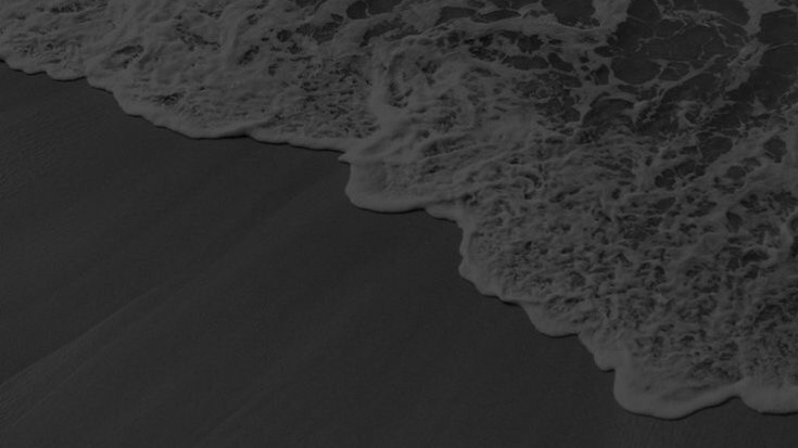 BioSite banner for @fno
